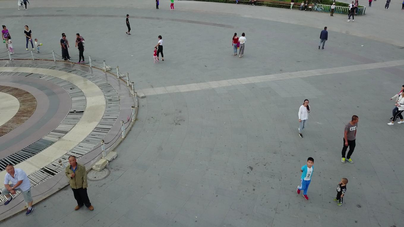 Annotated Image