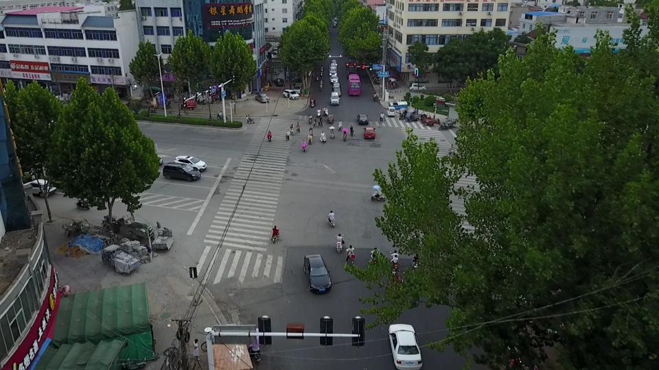 Annotated Image