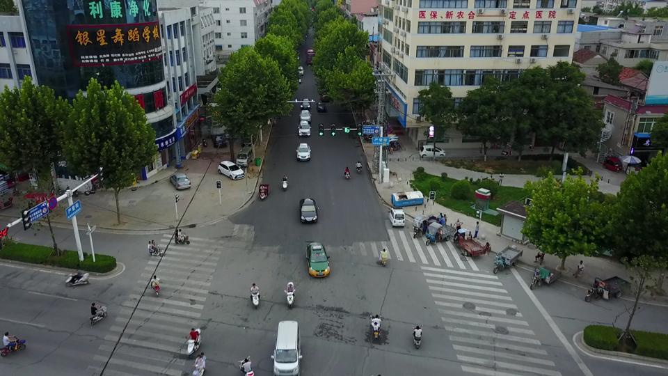 Annotated Image