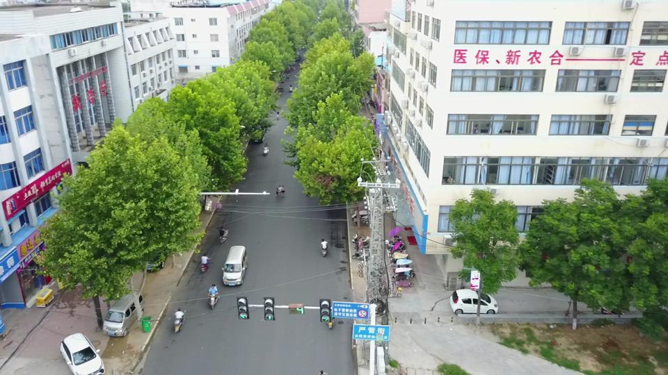Annotated Image