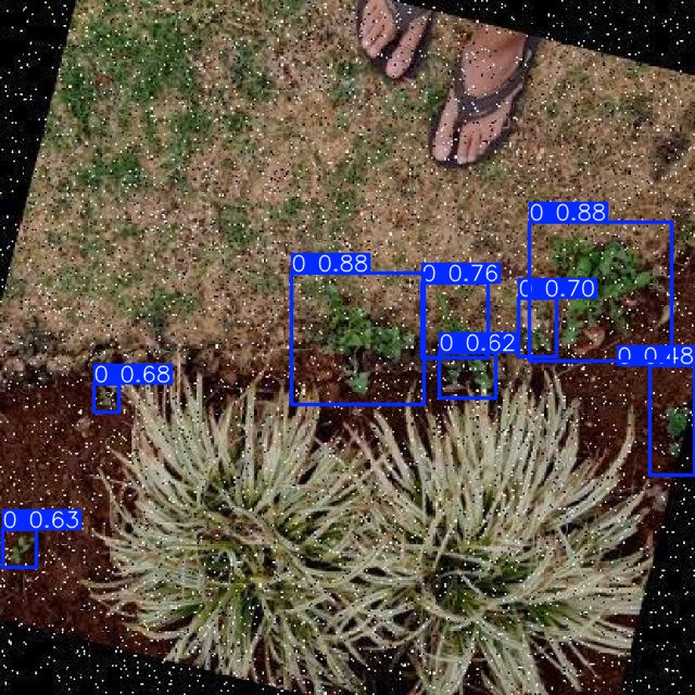 Annotated Image