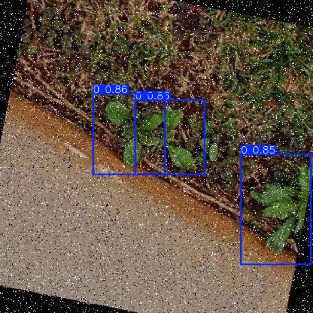 Annotated Image