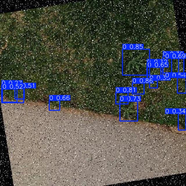 Annotated Image