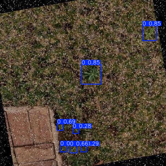 Annotated Image