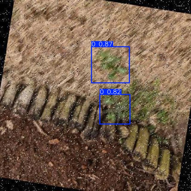 Annotated Image