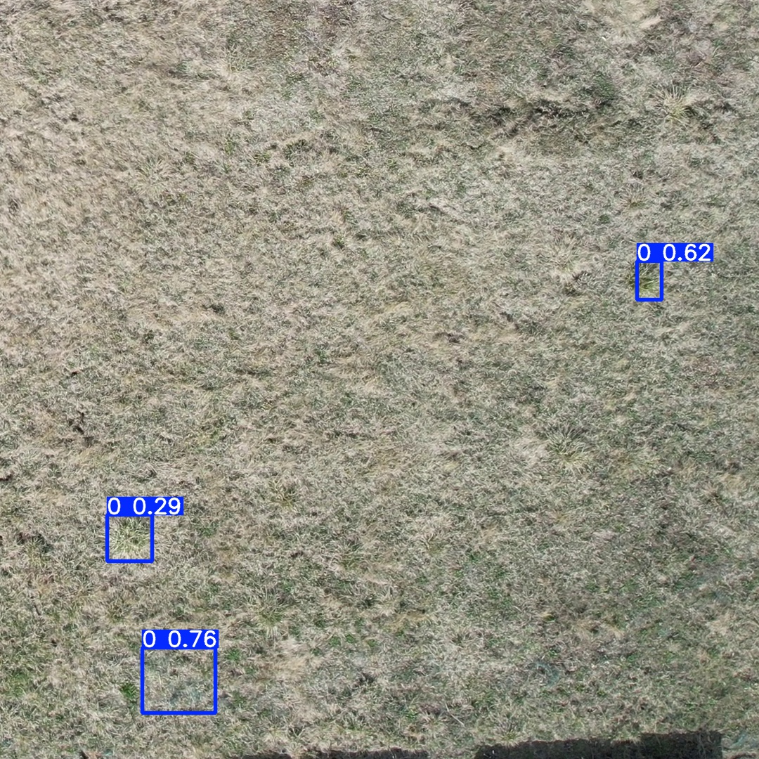 Annotated Image