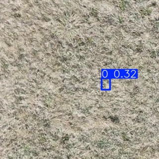 Annotated Image