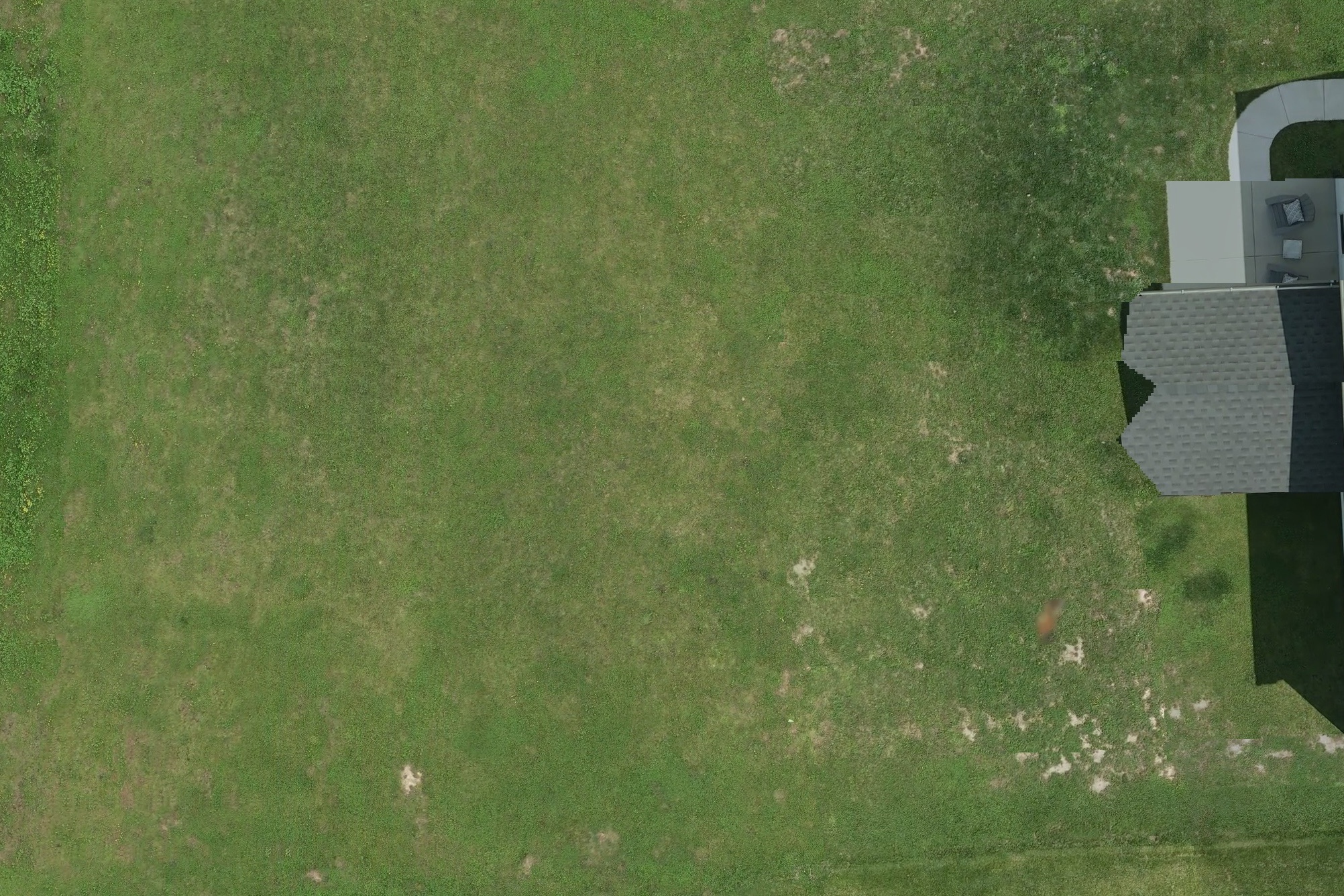 Annotated Image