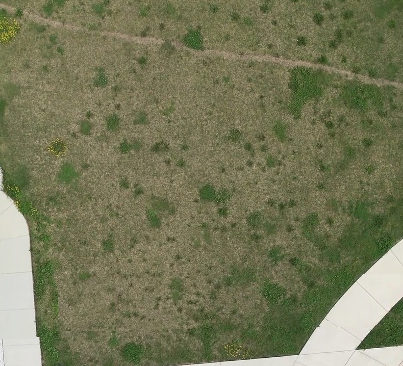 Annotated Image