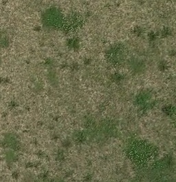 Annotated Image